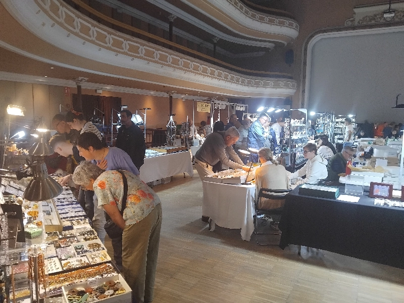 F&ograve;ssils en exhibici&oacute; a MineralExpo 2026